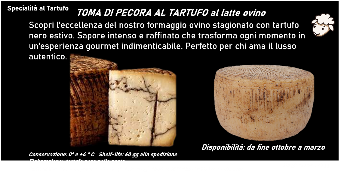 TOMA DI PECORA AL TARTUFO al latte ovino
