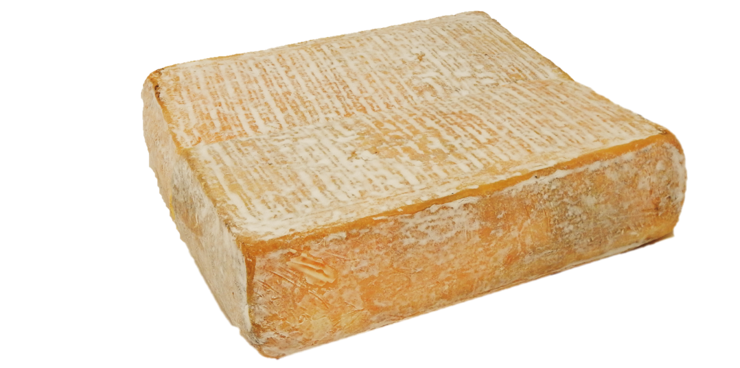 STRACCO DI CAPRA STELLINA al latte caprino