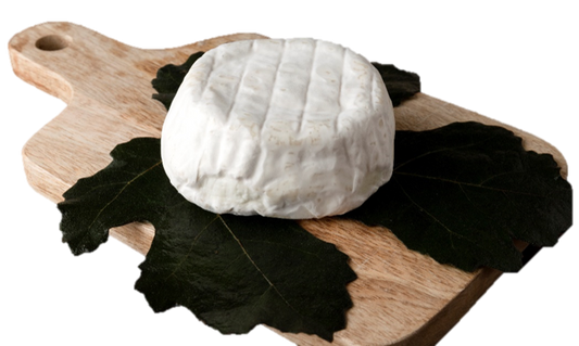 CREMOSO DI BUFALA MIGNON al latte di bufala