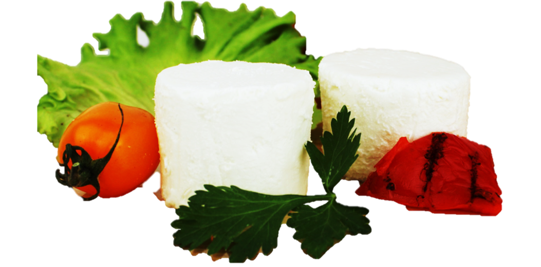 CIT (65gx2pz)  al latte di capra 130g peso fisso