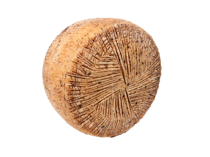 TOMA GRAN CAPRA al latte caprino