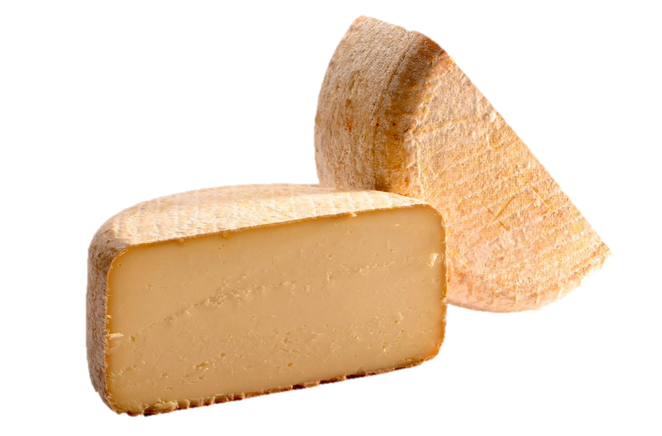 TOMA SAN MARTINO al latte ovino