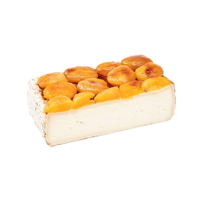 ROBIOLONE FRUTTATO -  CON ALBICOCCHE E NOCCIOLE al latte caprino