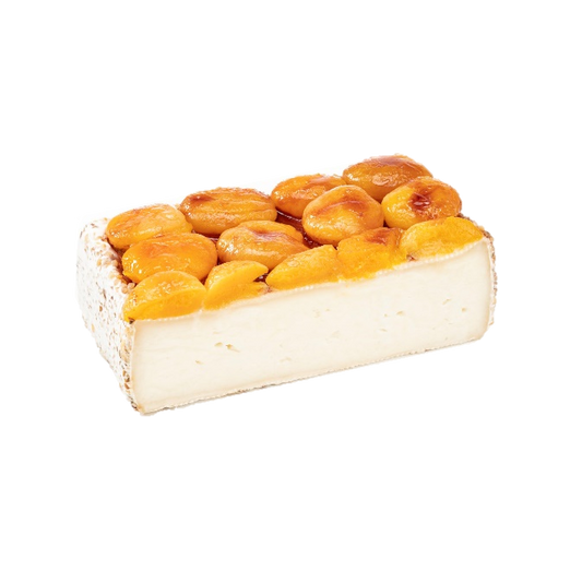 ROBIOLONE FRUTTATO -  CON ALBICOCCHE E NOCCIOLE al latte caprino