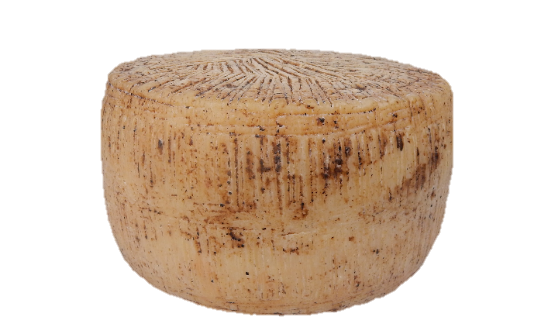 TOMA DI PECORA AL TARTUFO al latte ovino