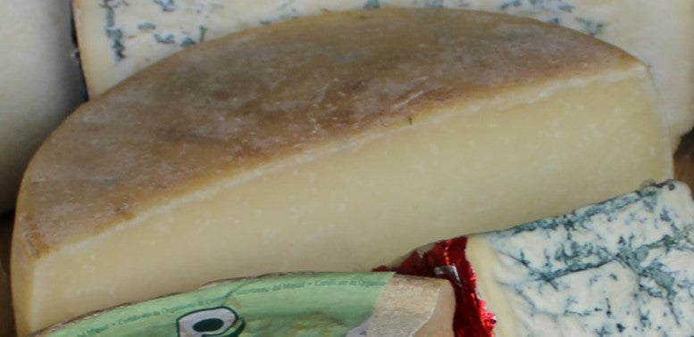 TESTUN DI PECORA AL LATTE CRUD OVINO