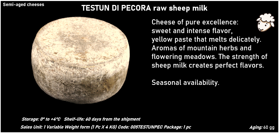 TESTUN DI PECORA al latte crudo ovino