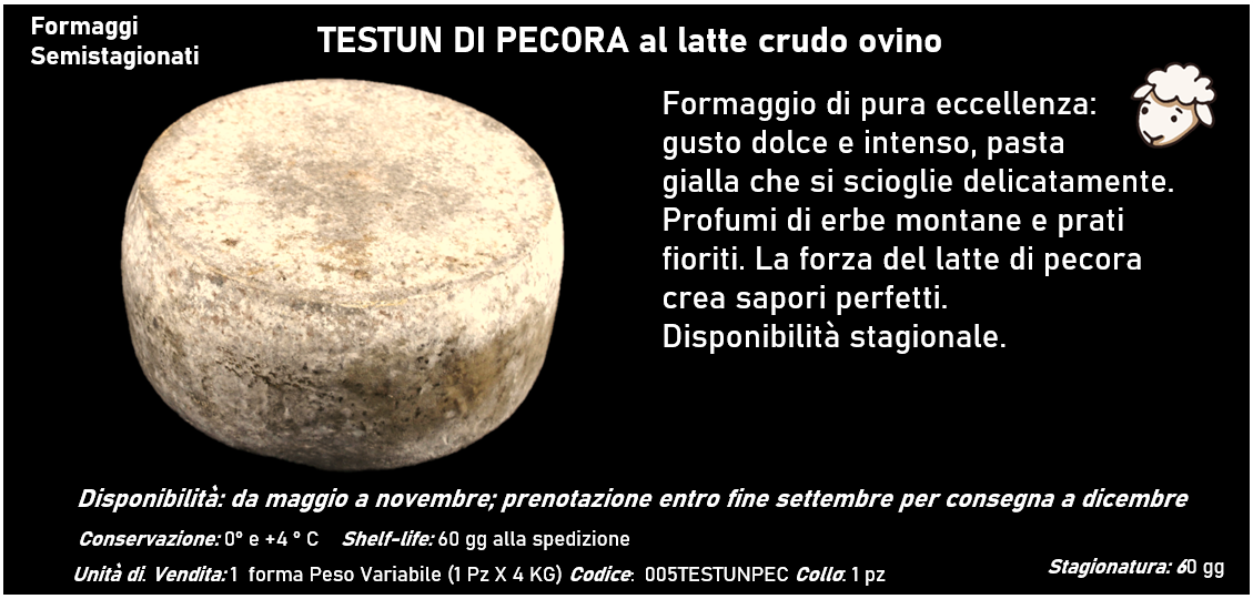 TESTUN DI PECORA al latte crudo ovino