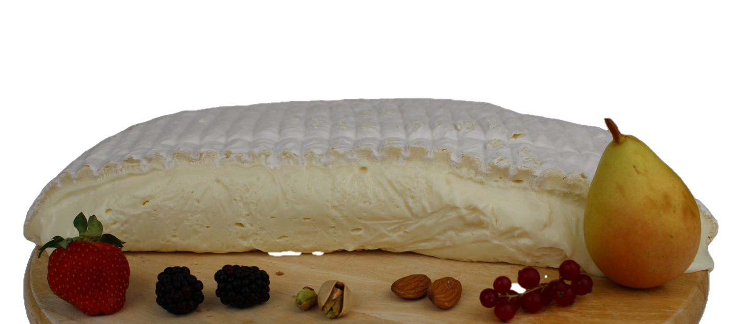 Langhiè TOMA STRACCHINATA 4.5kg peso medio
